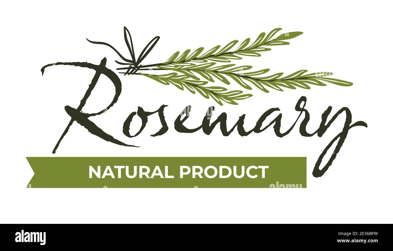 Prodotto naturale al rosmarino, alle erbe e alle spezie Illustrazione Vettoriale