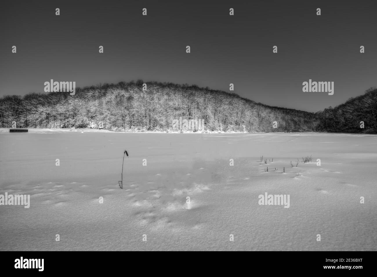 Un paesaggio di stagno di trote drozen Foto Stock