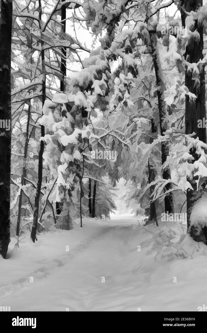 Un'immagine verticale di impronte in un sentiero innevato Foto Stock