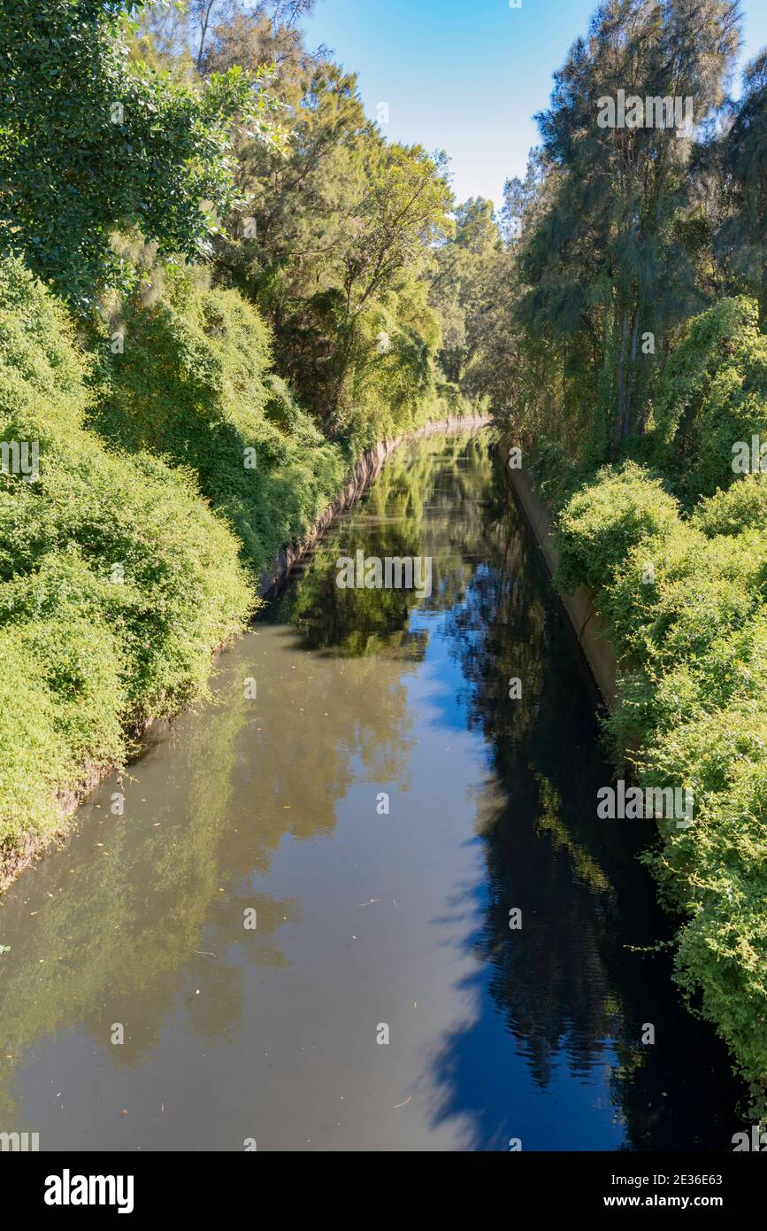 Duck Creek (canale d'acqua a tempesta aperta) nel sobborgo di Clyde nella parte occidentale di Sydney, nuovo Galles del Sud. Il torrente fa parte del bacino idrografico del fiume Parramatta Foto Stock