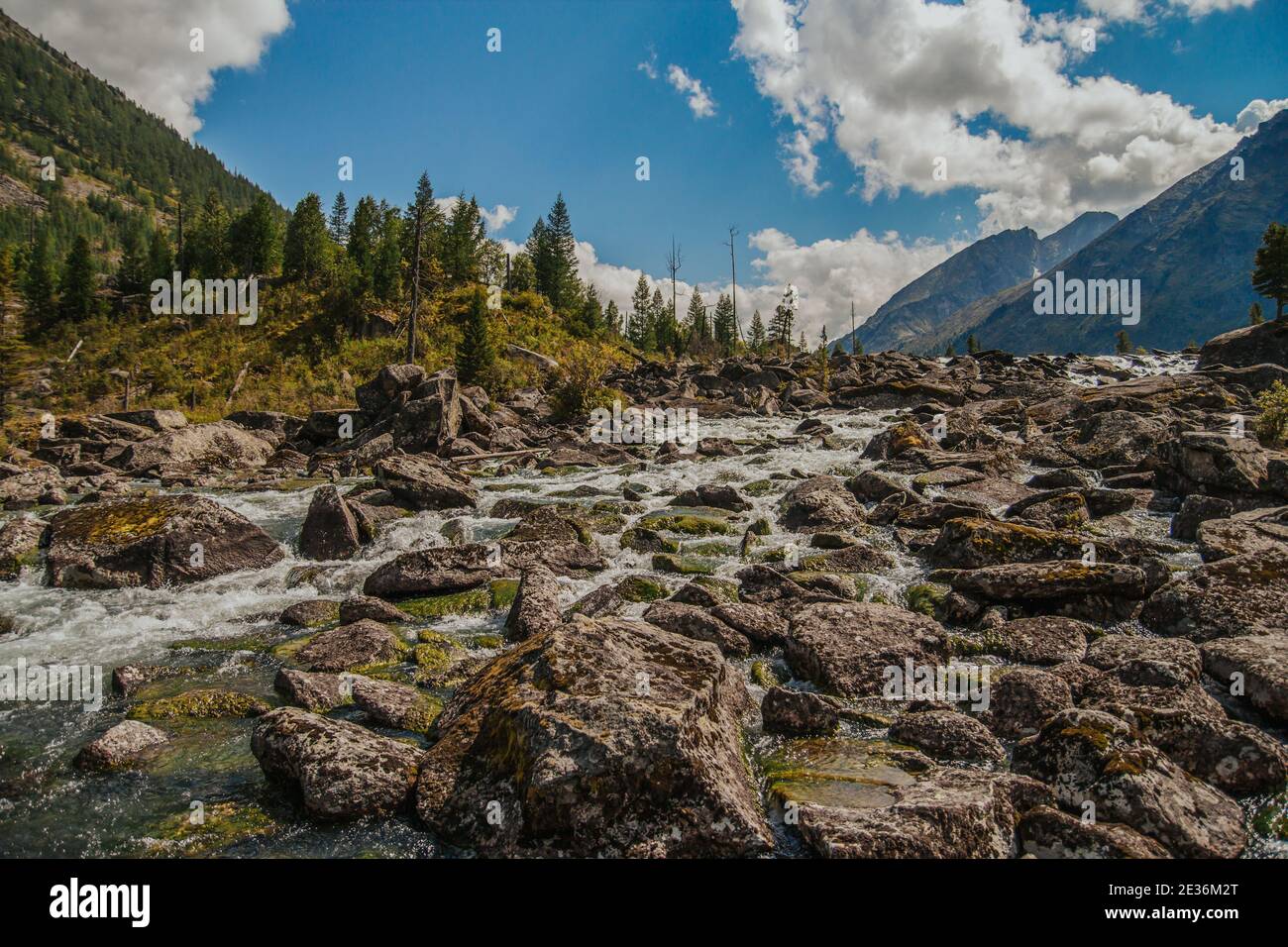Un fiume turbolento tra le pietre e una foresta nei Monti Altai. Foto Stock