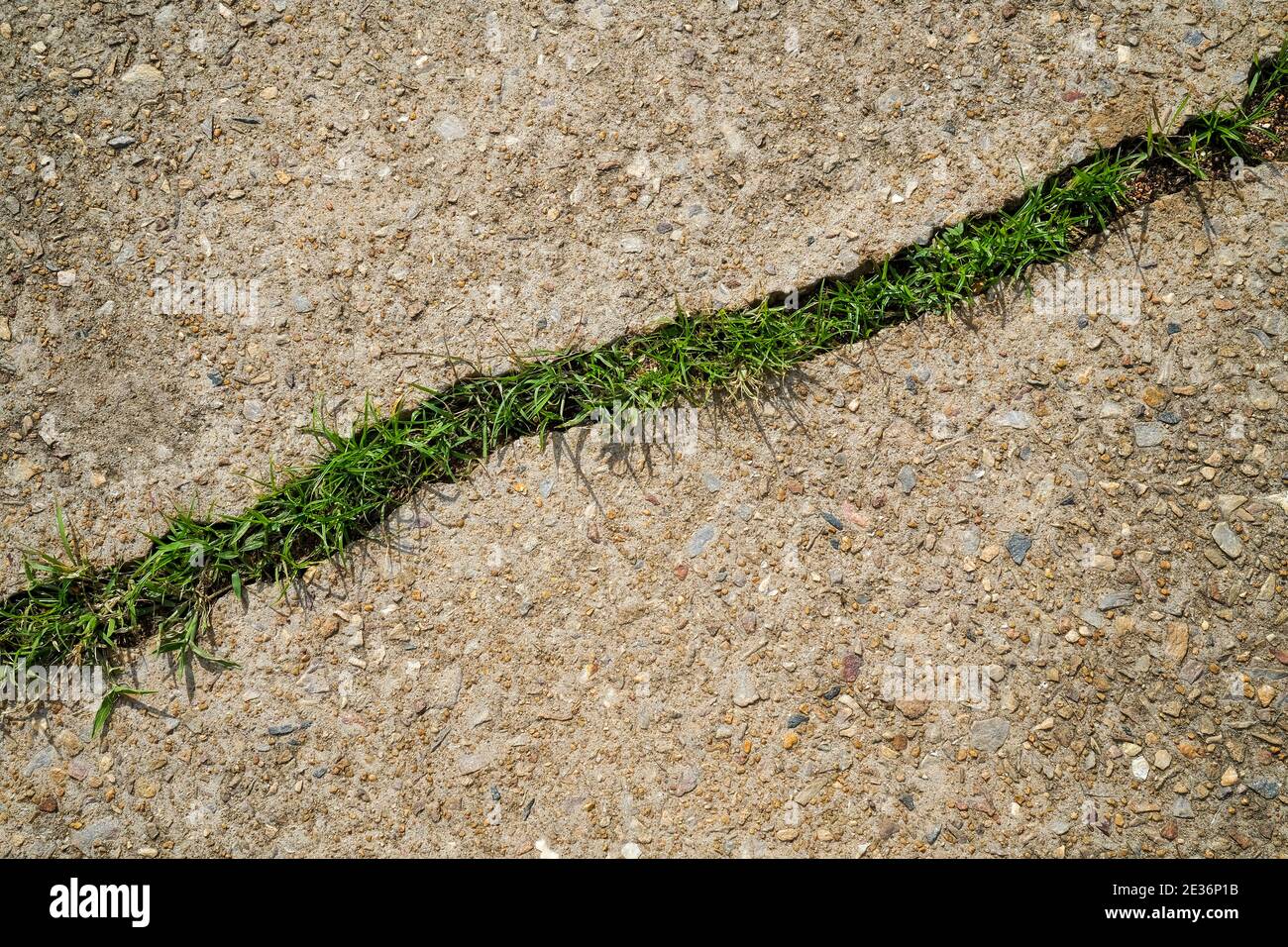 Crepa in cemento pavimento, con erba che cresce in esso Foto Stock