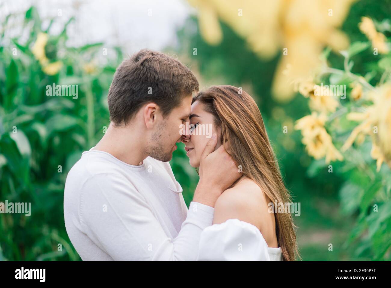 Bella donna splendida ed elegante bel maschio, coppia rustica in un campo di girasole baciare Foto Stock