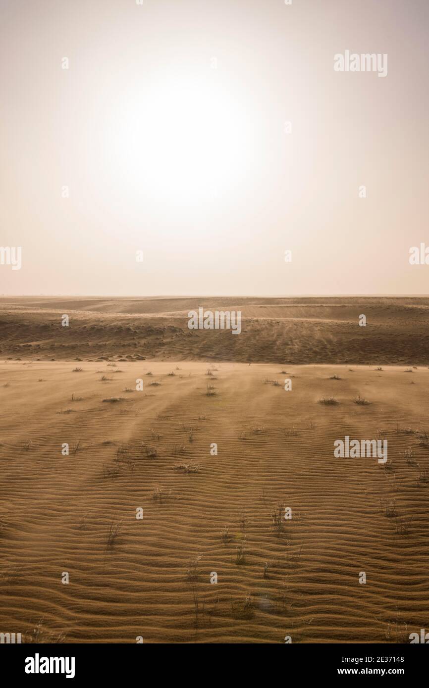 Sabbia retroilluminata, deserto, Sahara, nord del Ciad Foto Stock