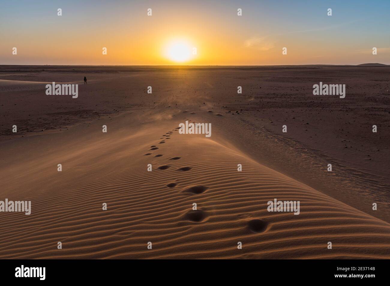 Passi in una duna di sabbia al tramonto, Sahara, nord del Ciad Foto Stock