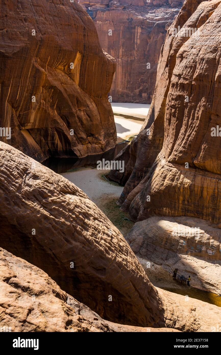 Gola rocciosa, waterhole Guelta d'Archei, altopiano di Ennedi, Ciad Foto Stock