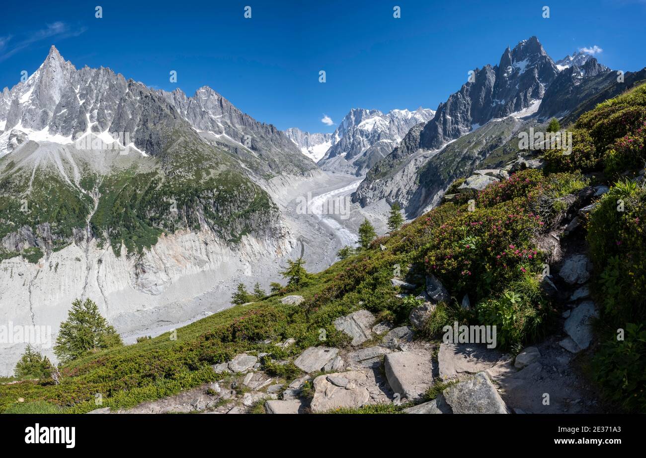 Glacier Tongue Mer de Glace, Grandes Jorasses posteriore, massiccio del Monte Bianco, Chamonix, Francia Foto Stock