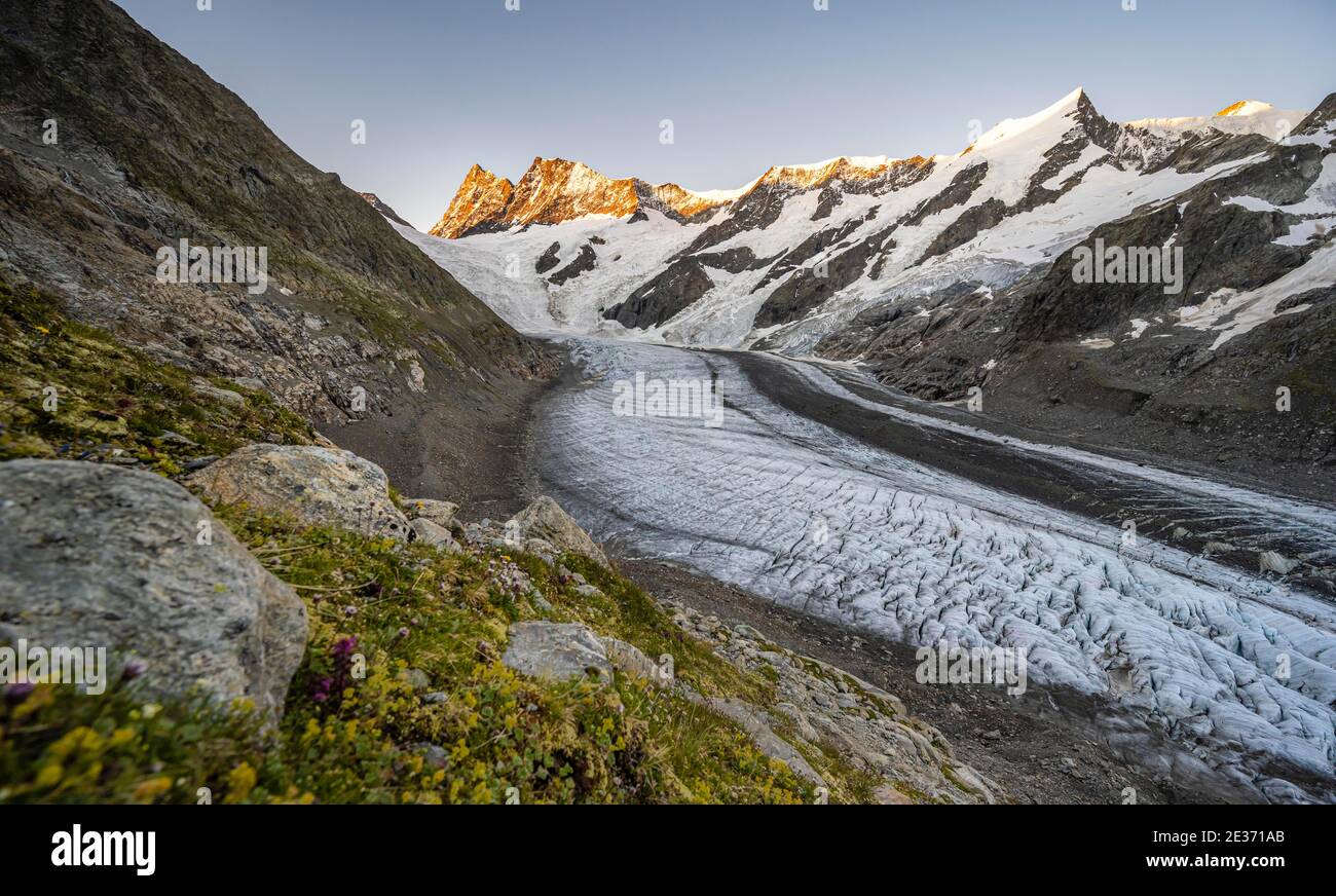 Panorama montano, alto paesaggio alpino, alba, lingua glaciale, ghiacciaio Unteres Eismeer, Finsteraarhorn, Agasszishorn, Grosses Fiescherhorn Foto Stock