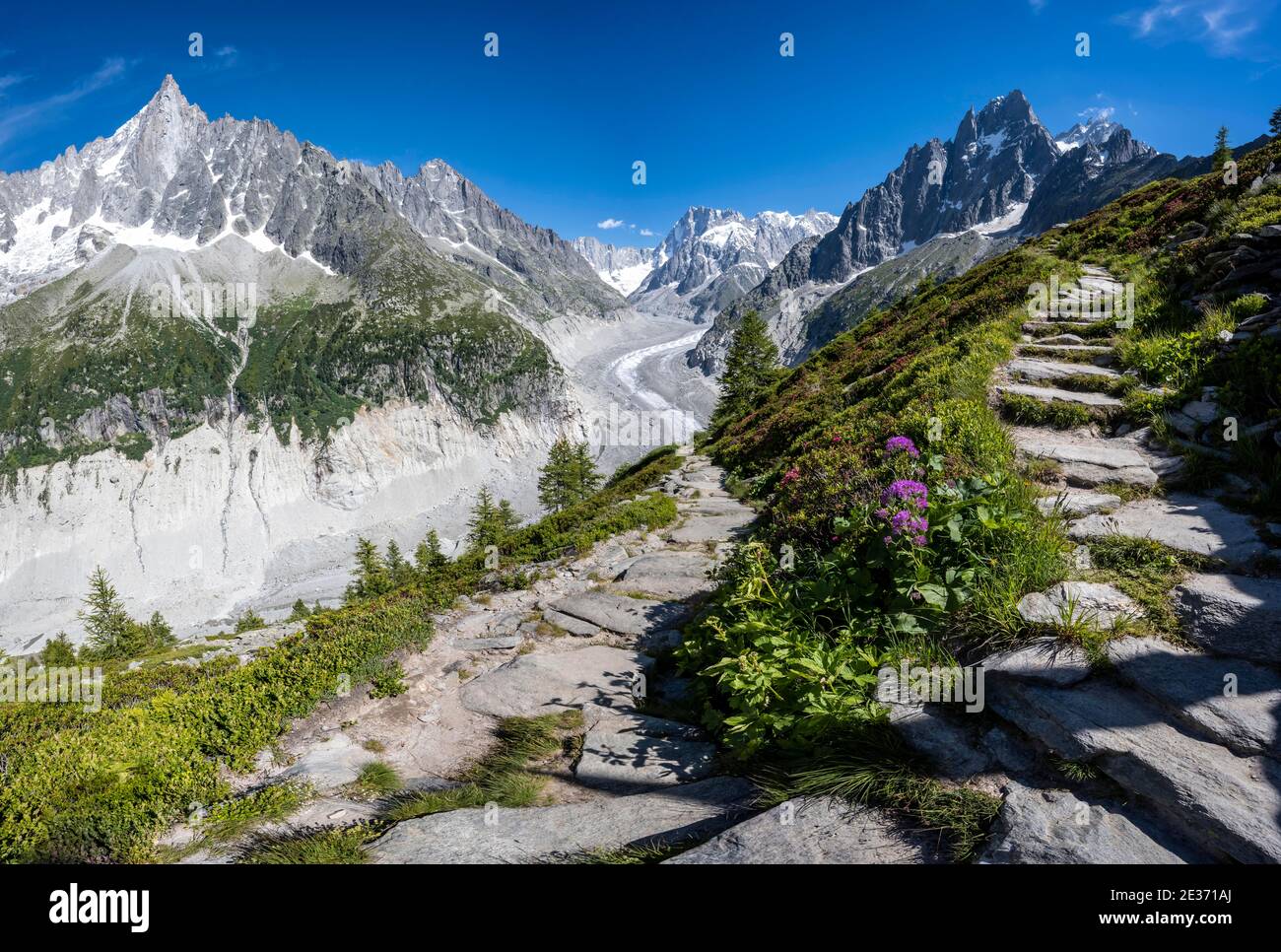 Sentiero escursionistico Grand Balcon Nord, lingua del ghiacciaio Mer de Glace, indietro Grandes Jorasses, massiccio del Monte Bianco, Chamonix, Francia Foto Stock