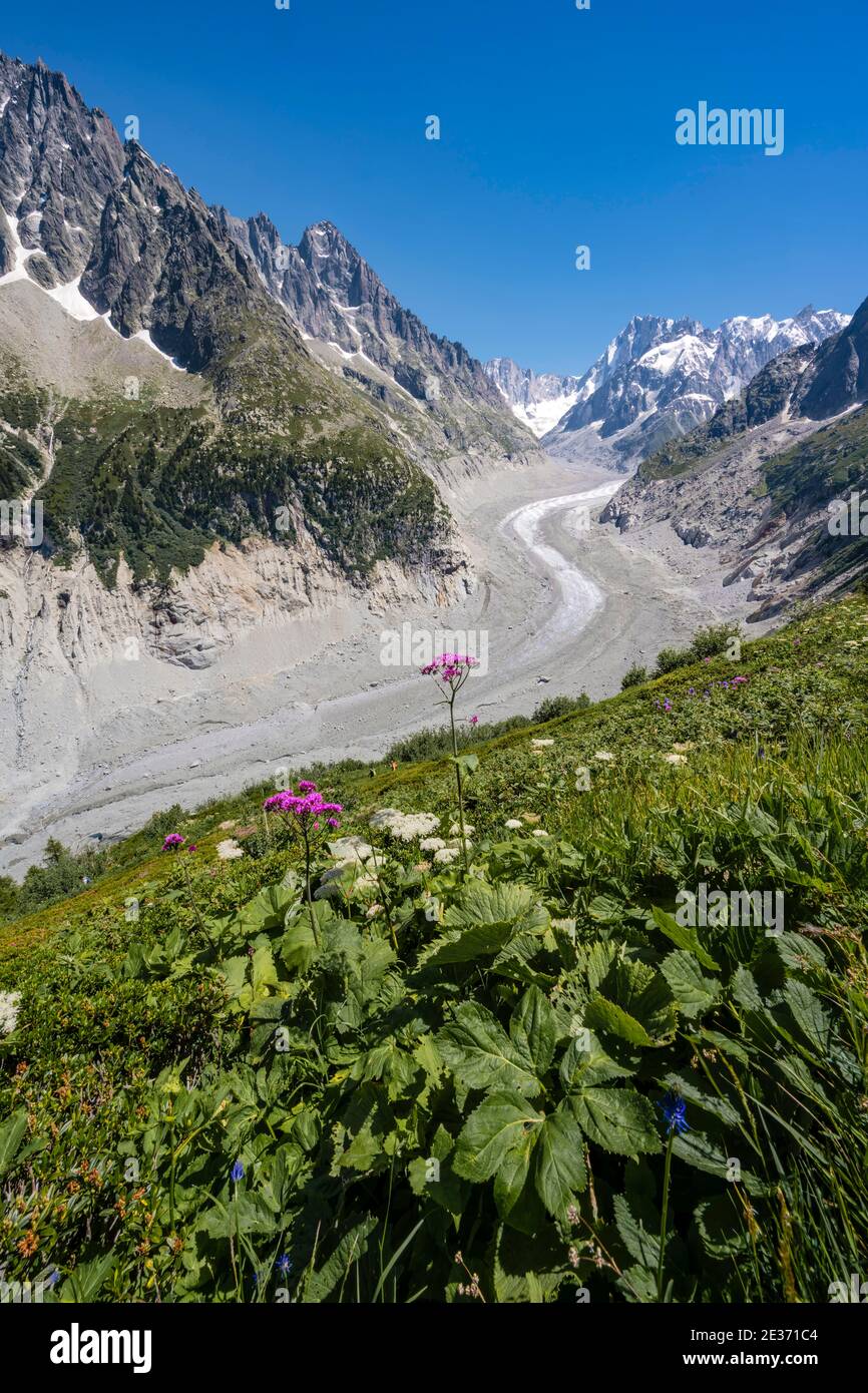 Glacier Tongue Mer de Glace, Grandes Jorasses posteriore, massiccio del Monte Bianco, Chamonix, Francia Foto Stock