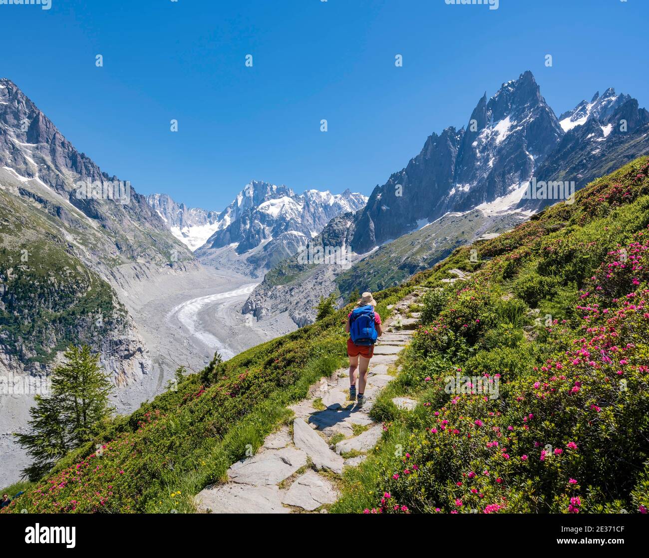 Scalatore su sentiero escursionistico, Grand Balcon Nord, lingua del ghiacciaio Mer de Glace, dietro Grandes Jorasses, massiccio del Monte Bianco, Chamonix, Francia Foto Stock