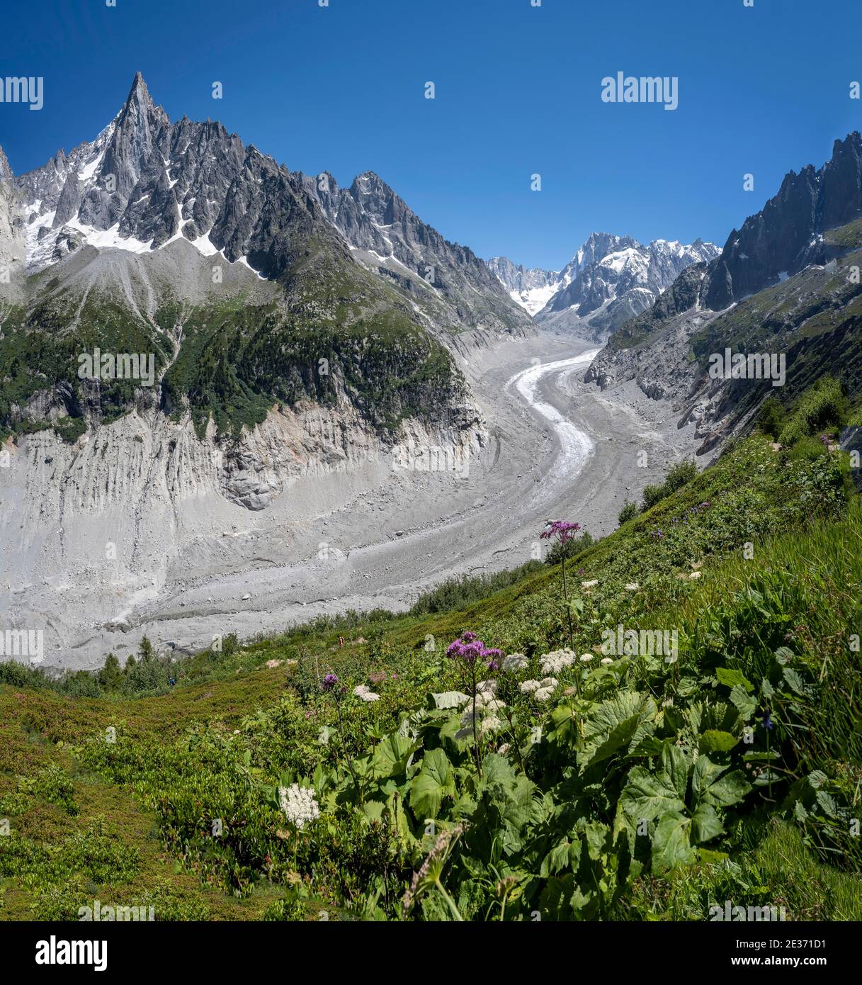 Glacier Tongue Mer de Glace, Grandes Jorasses posteriore, massiccio del Monte Bianco, Chamonix, Francia Foto Stock