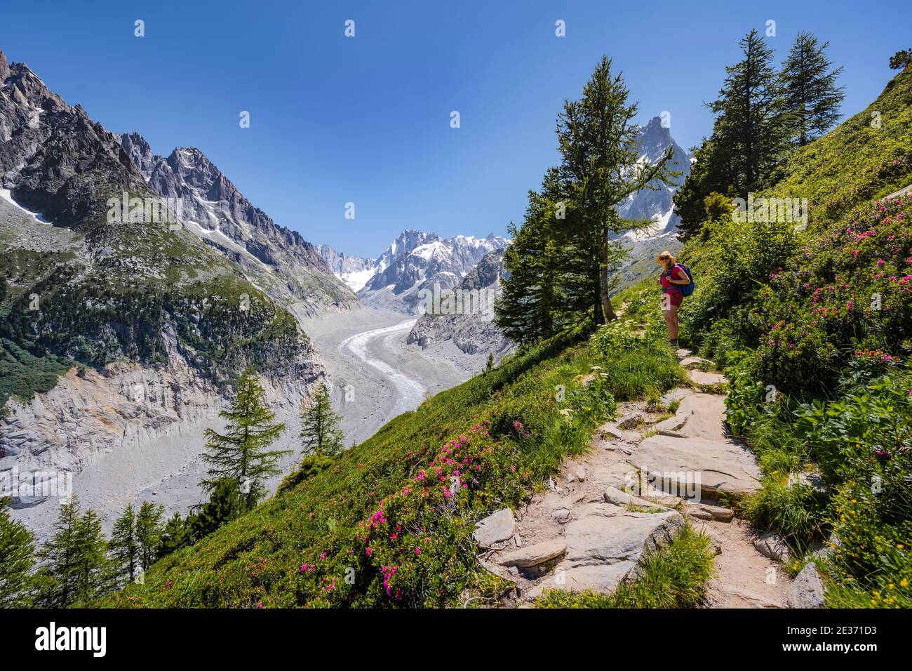 Scalatore su sentiero escursionistico, Grand Balcon Nord, lingua del ghiacciaio Mer de Glace, dietro Grandes Jorasses, massiccio del Monte Bianco, Chamonix, Francia Foto Stock