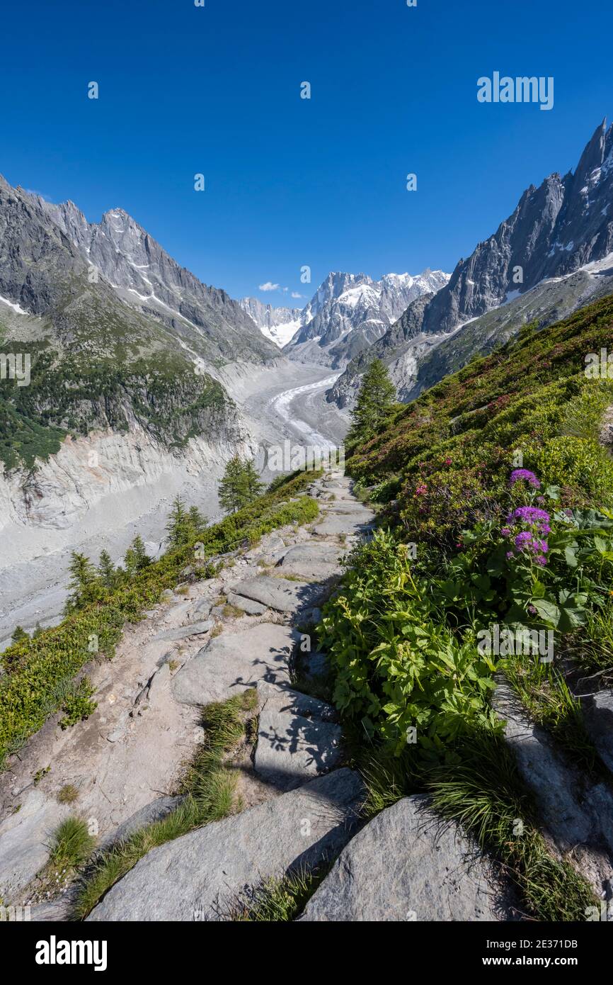 Sentiero escursionistico Grand Balcon Nord con vista sul ghiacciaio lingua mer de Glace, dietro Grandes Jorasses, massiccio del Monte Bianco, Chamonix, Francia Foto Stock