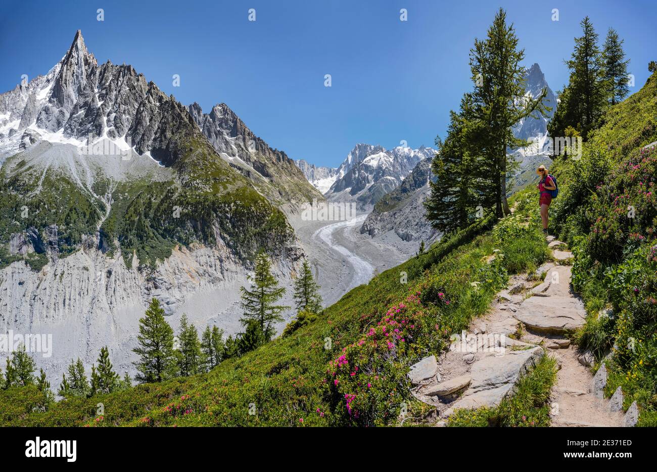 Alpinista sul sentiero escursionistico, Grand Balcon Nord, lingua del ghiacciaio Mer de Glace, dietro Grandes Jorasses, massiccio del Monte Bianco, Chamonix, Francia Foto Stock