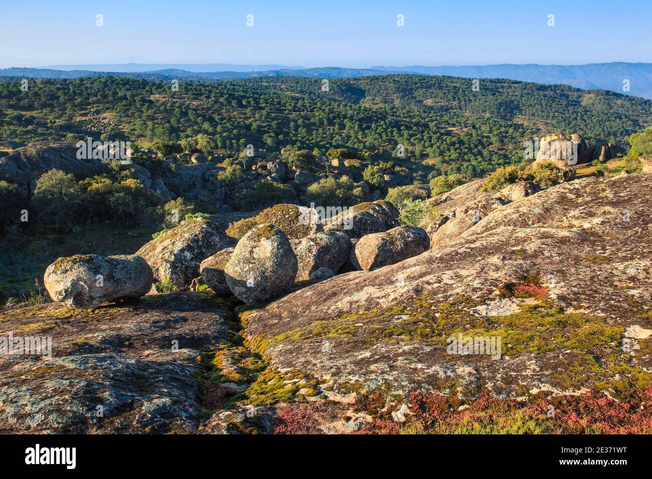 Paesaggio tipico del Parco Nazionale della Sierra de Andujar, Spagna Foto Stock