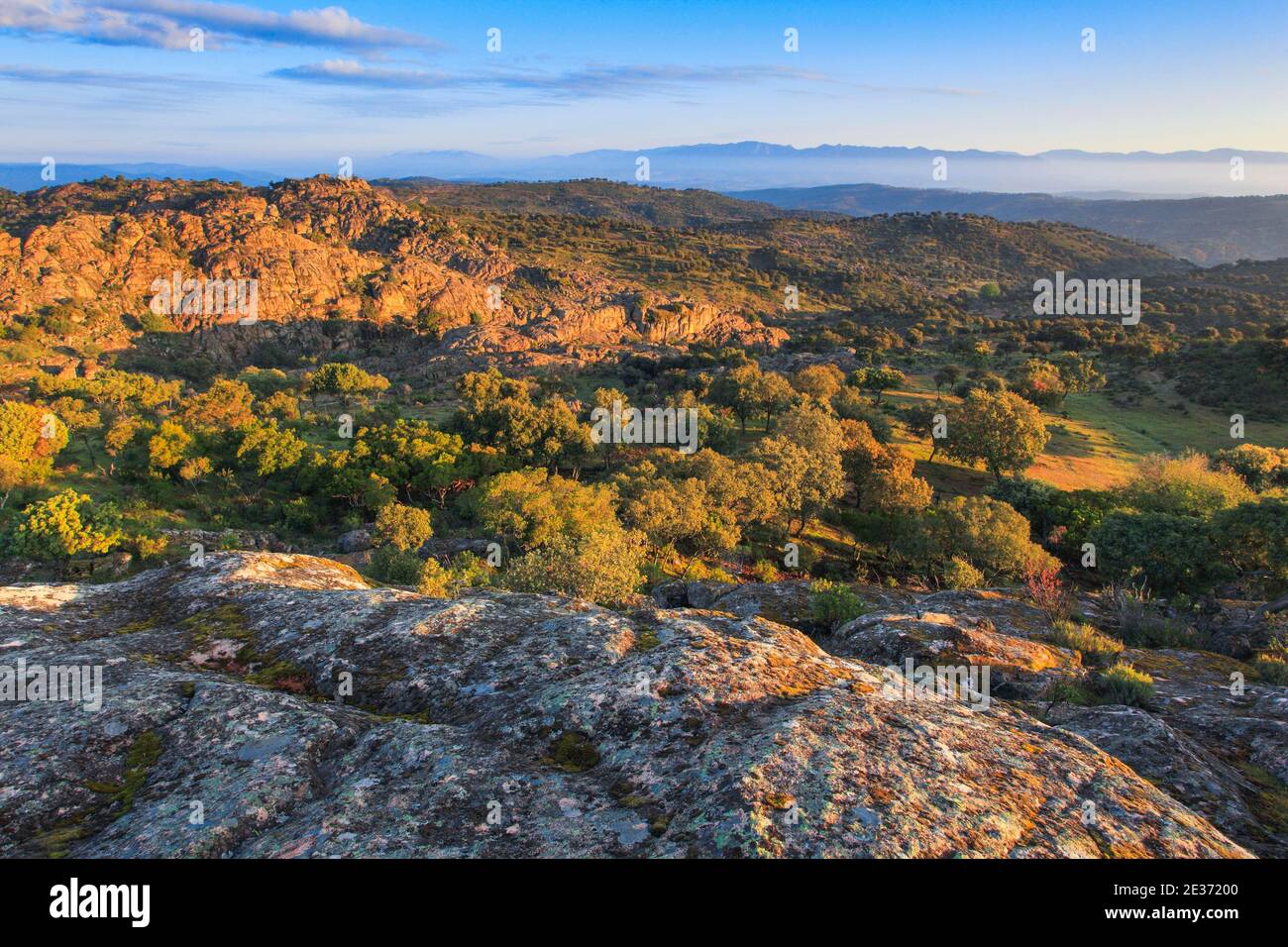 Paesaggio tipico del Parco Nazionale della Sierra de Andujar, Andalusia, Spagna Foto Stock