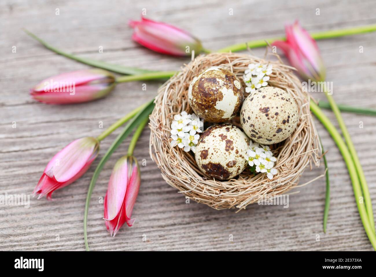 Decorazione pasquale naturale Foto Stock