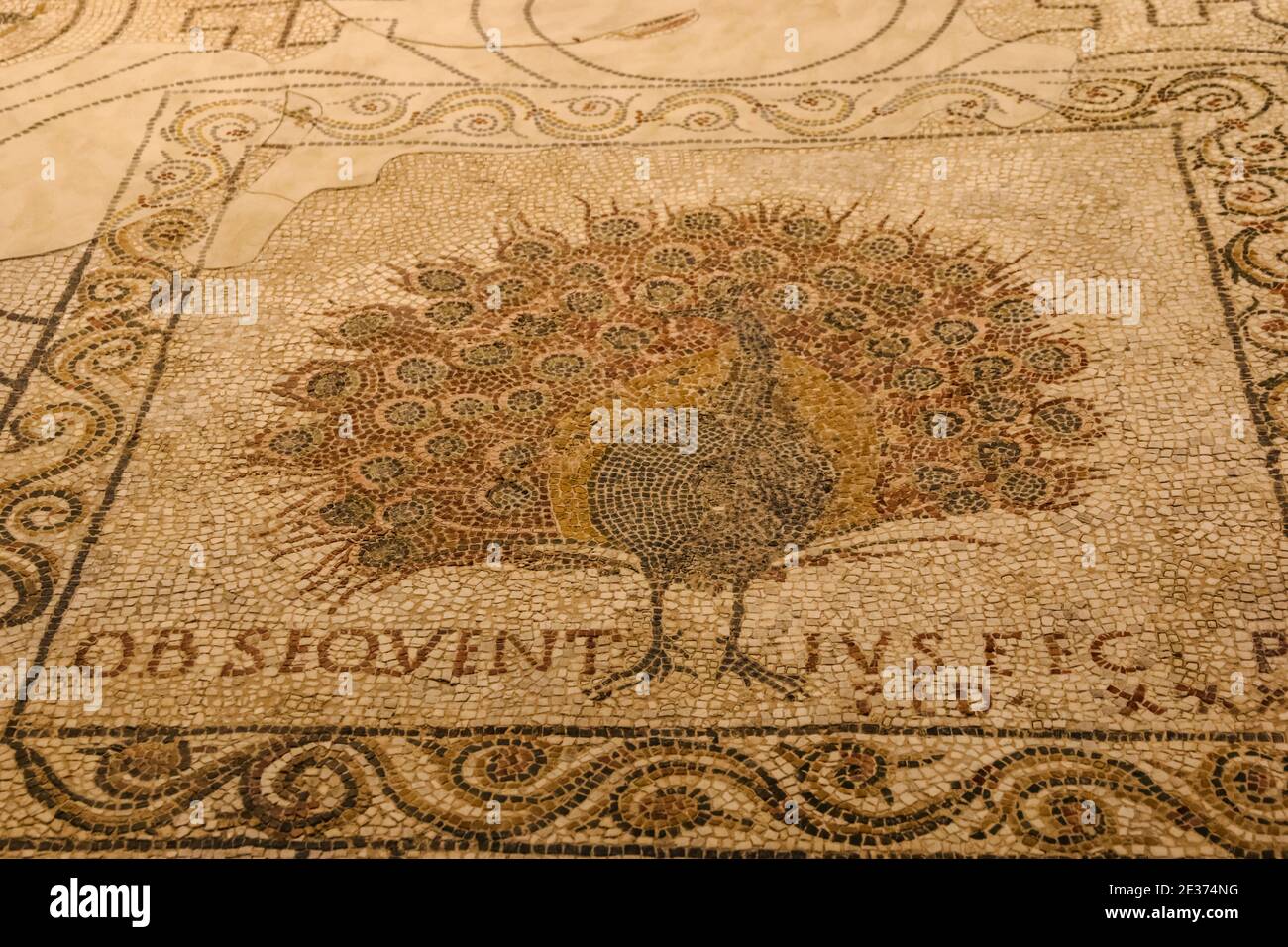 Bella vista ravvicinata di un pavimento a mosaico paleocristiano con un emblema di pavone splendidamente intricato e colorato, simbolo dell'immortalità, nella Cripta... Foto Stock