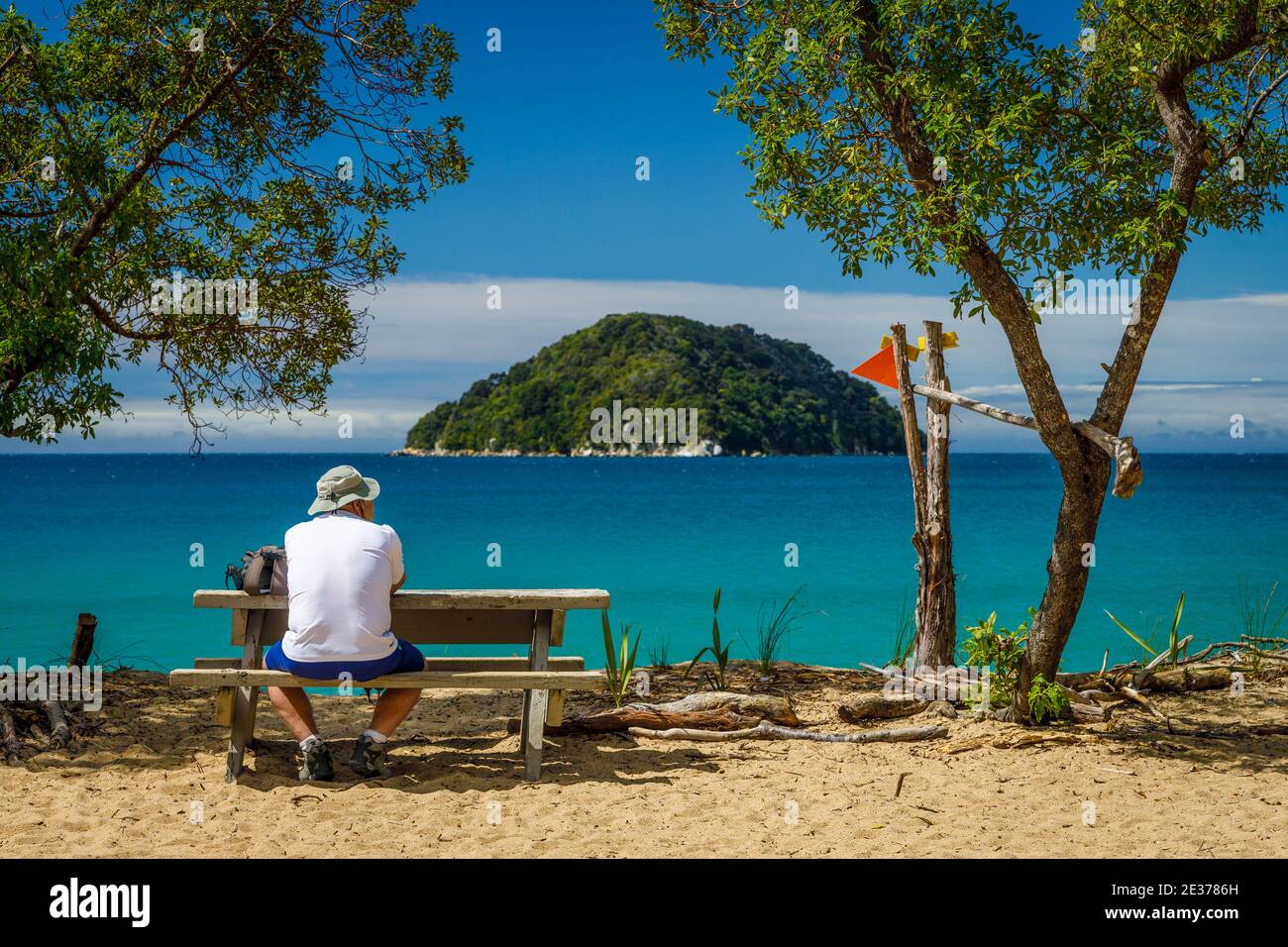 La costa del Parco Nazionale Abel Tasman, una popolare attrazione turistica e riserva naturale Wilderness, South Island, Nuova Zelanda. Foto Stock