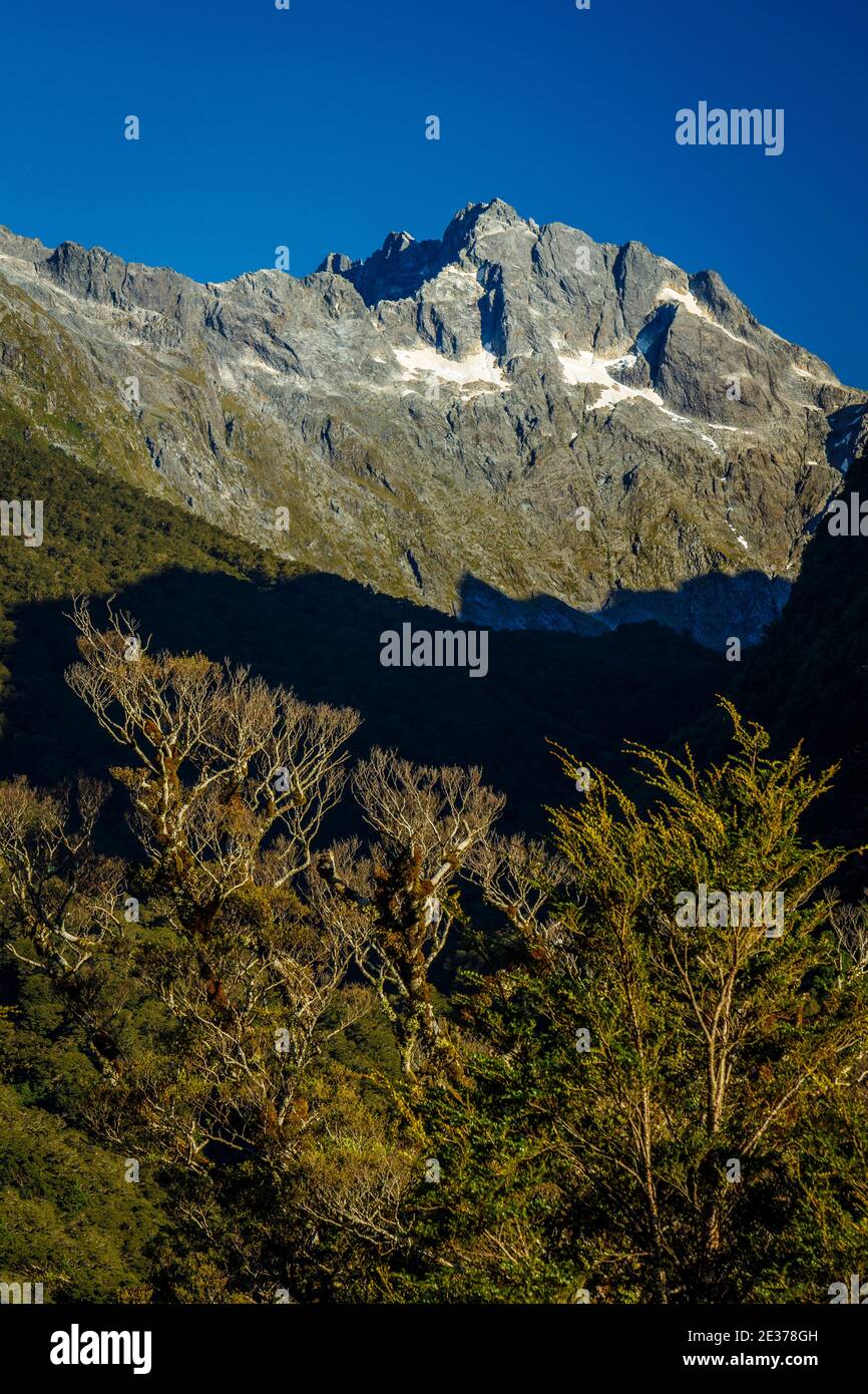 Montagne spazzolate dalla neve del Passo dell'Haast che si snoda attraverso le Alpi meridionali, l'Isola del Sud, la Nuova Zelanda. Foto Stock