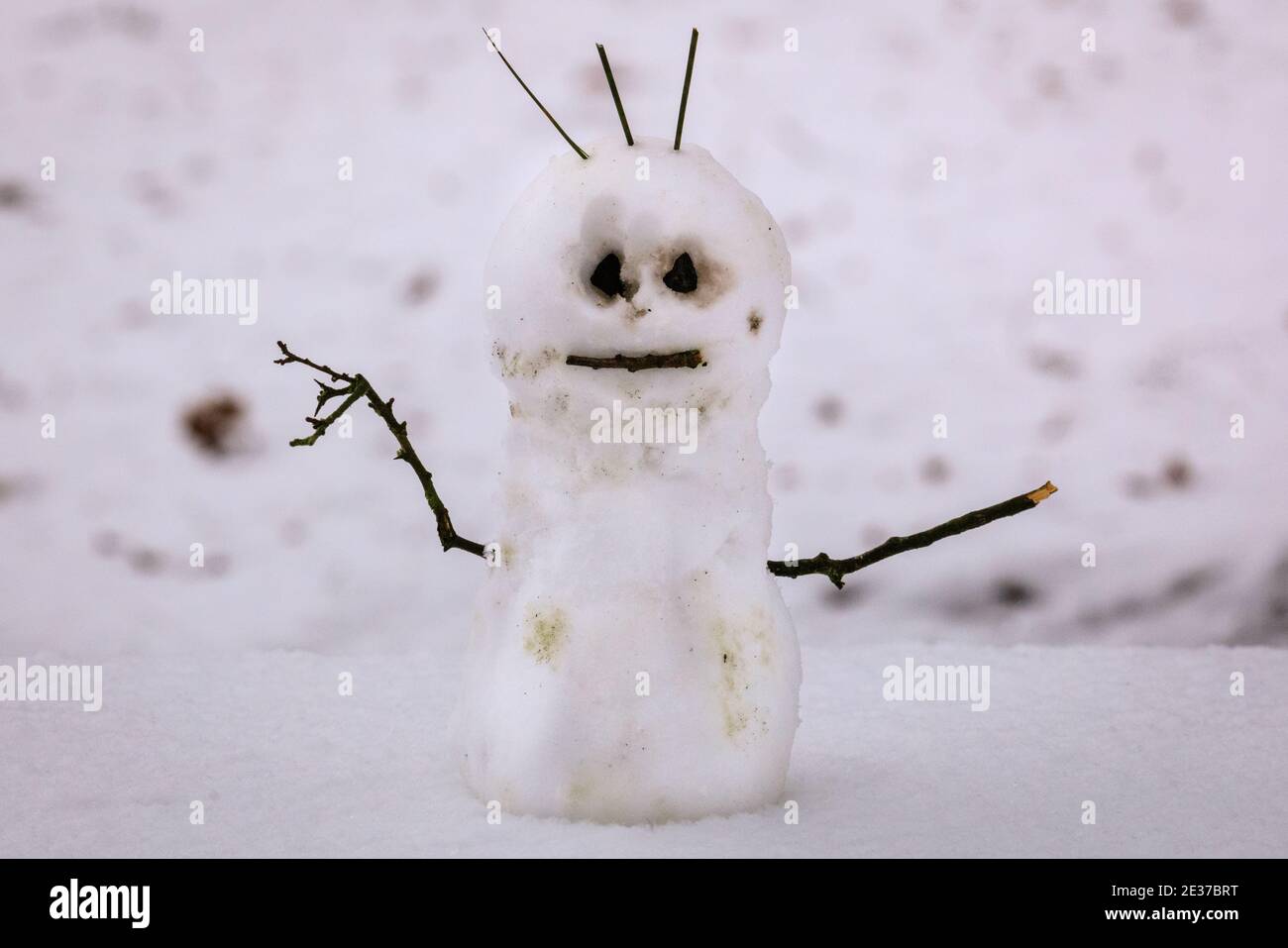 Duelmen, NRW, Germania. 17 gennaio 2021. Un pupazzo di neve in miniatura dall'aspetto leggermente arrabbiato costruito da escursionisti su una panchina. Uno strato di neve fresca è caduto durante la notte, trasformando la campagna di Muensterland in un paese delle meraviglie invernali per alcuni giorni. Credit: Imageplotter/Alamy Live News Foto Stock