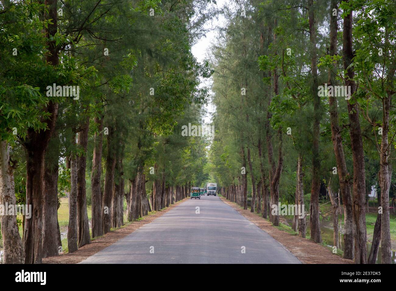 Una bella strada a Noakhali, Bangladesh Foto Stock