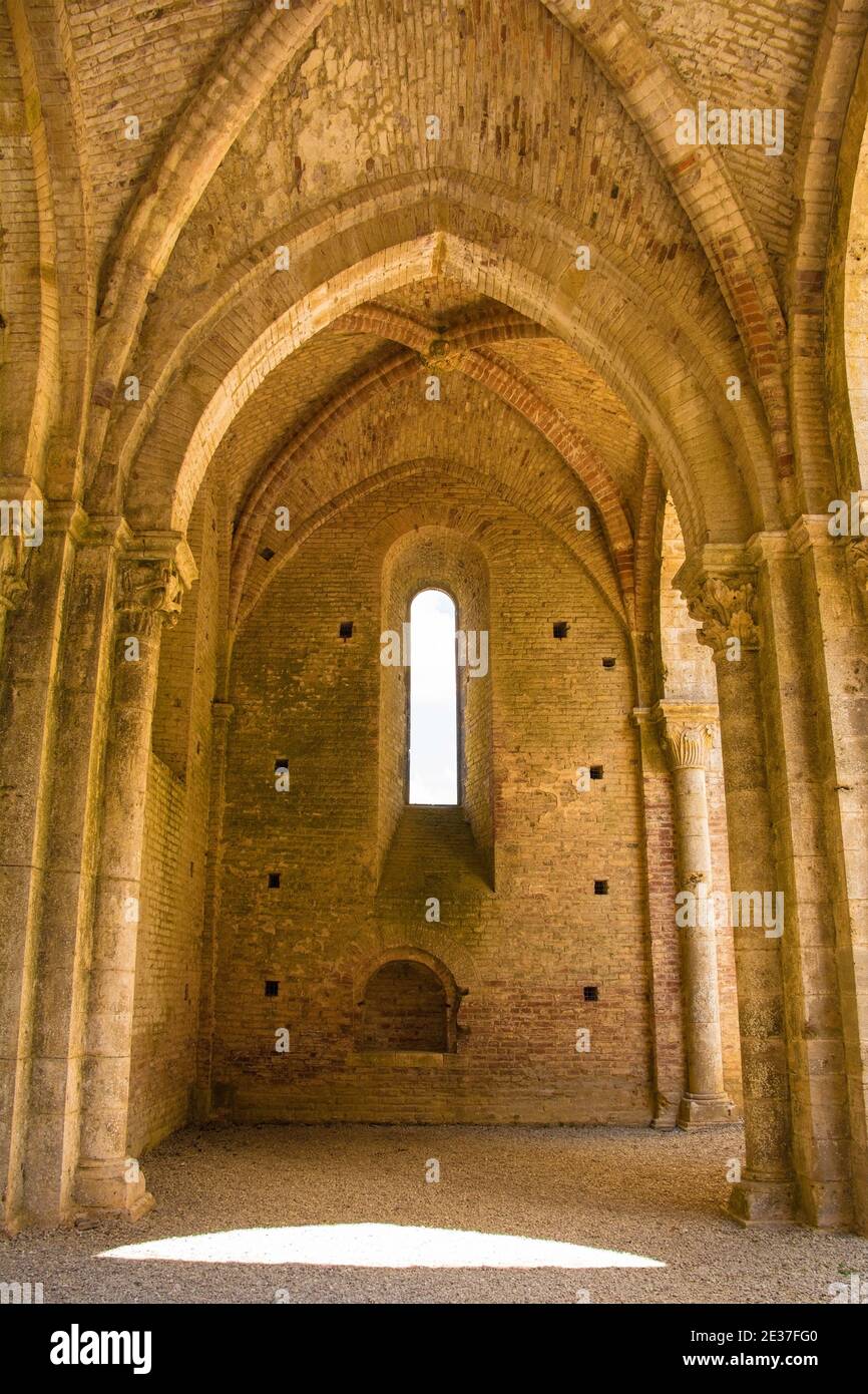 Chiusdino, Italia - 7 settembre 2020. Una volta costolata nei resti dell'abbazia gotica senza tetto di San Galgano, in provincia di Siena, Toscana Foto Stock
