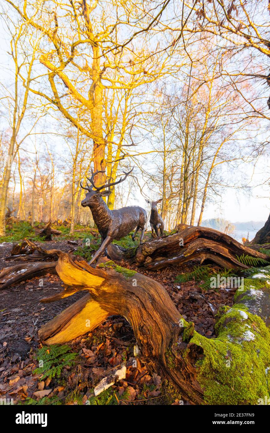 Esecuzione di sculture di cervi con antlers in scena enottera a Trentham Giardino Staffordshire Foto Stock