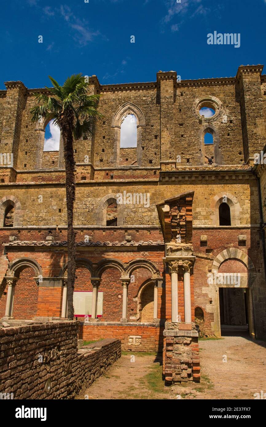 Chiusdino, Italia - 7 settembre 2020. Vista laterale dell'abbazia senza tetto di San Galgano in provincia di Siena, Toscana, con lancetta o arco a punta Foto Stock