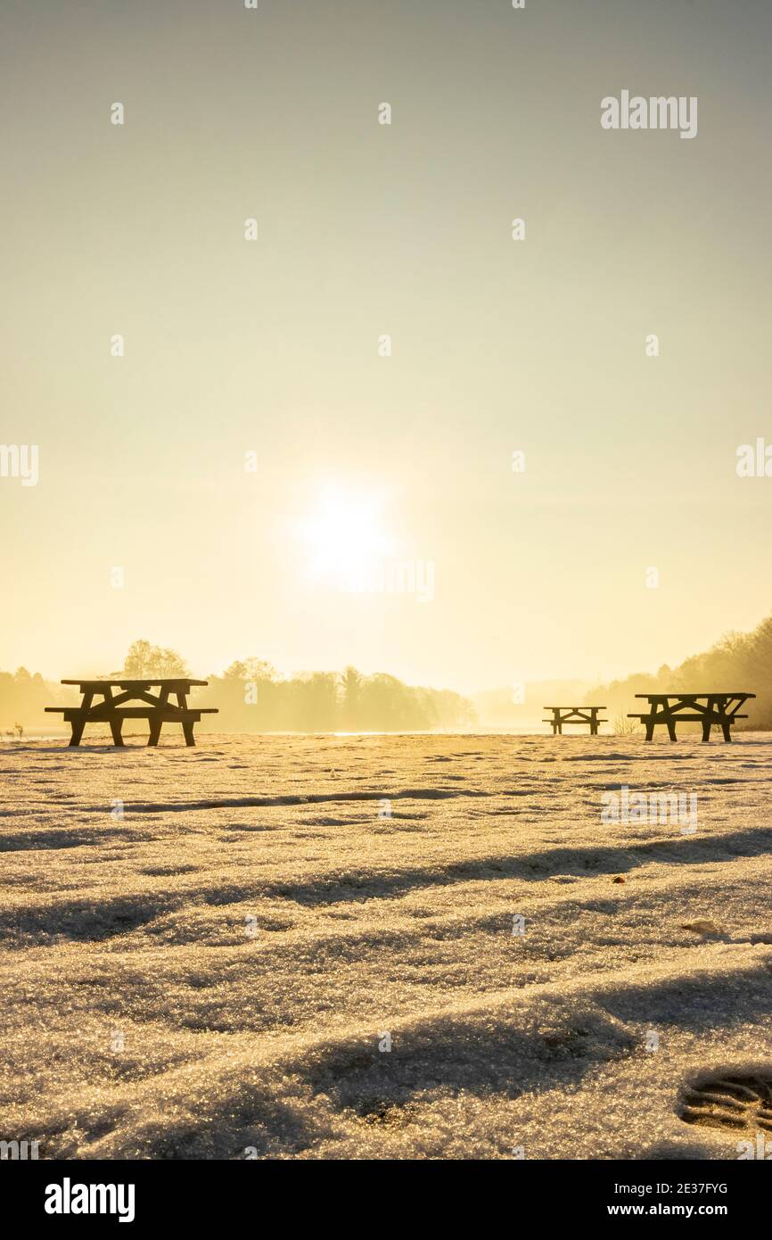 panchine sul lago al sole della mattina presto nella scena del vino Al Trentham Garden picnic Staffordshire Foto Stock