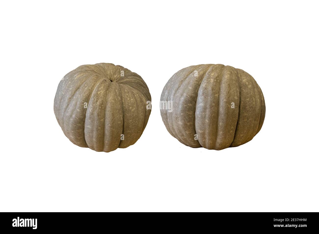 Zucca verde intera isolata su sfondo bianco Foto Stock