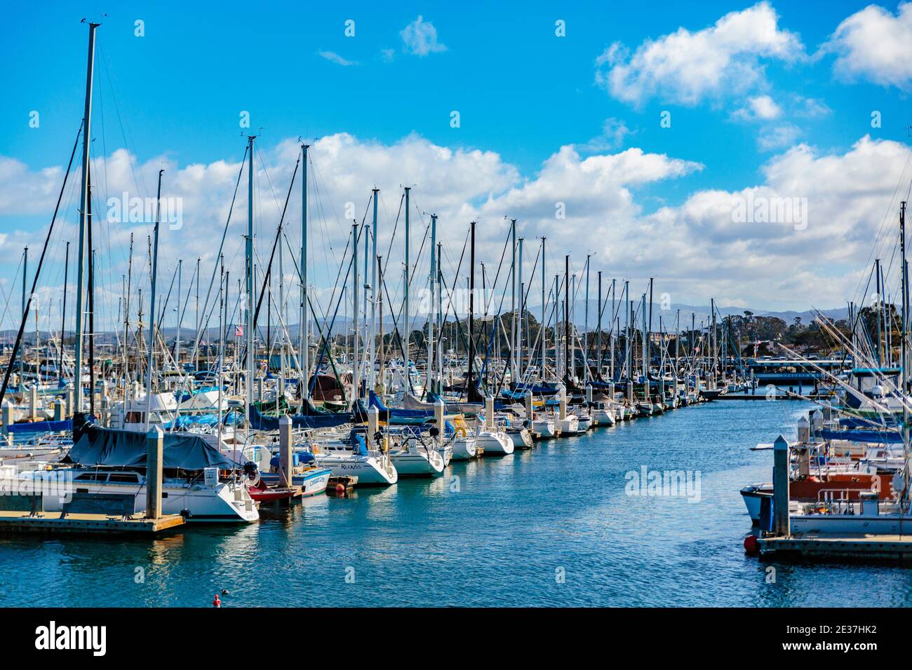 Monterey, California, 19 febbraio 2018: La storica Cannery Row, il Fisherman's Wharf e il porticciolo sono disseminati di monumenti e sculture. Foto Stock