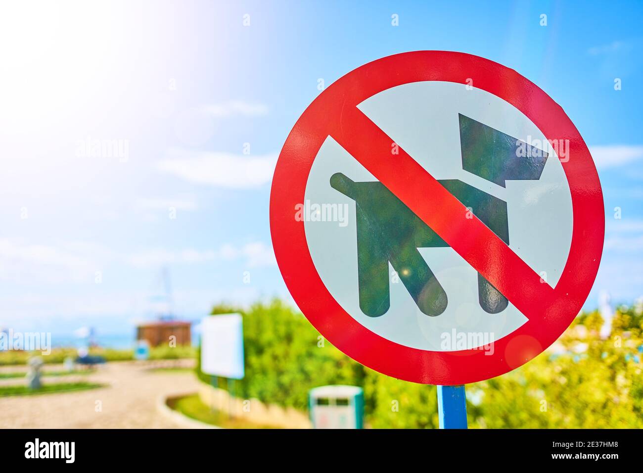 Simbolo, non camminare cani segno nel parco pubblico. Le sterline non sono consentite. Il divieto di camminare dei cuccioli. Regole su una spiaggia pubblica. Oceano o mare, paesaggio estivo sullo sfondo. Foto Stock