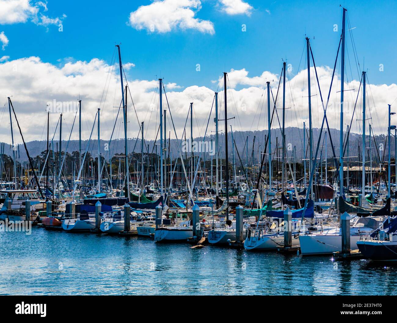 Monterey, California, 19 febbraio 2018: La storica Cannery Row, il Fisherman's Wharf e il porticciolo sono disseminati di monumenti e sculture. Foto Stock