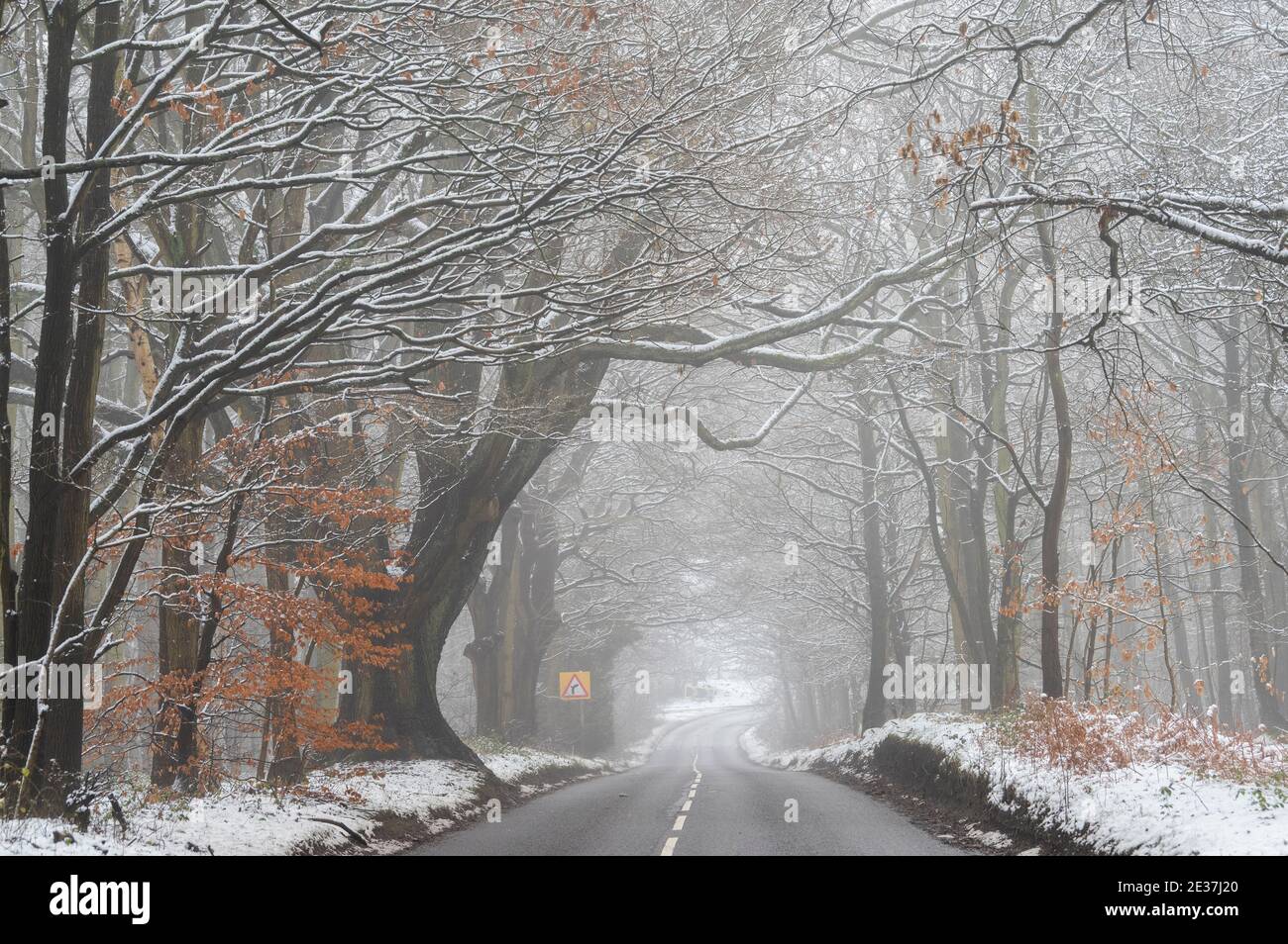 Una mattina invernale di neve e nebbia su Haywood Oaks Lane vicino Blidworth, Nottinghamshire Inghilterra UK Foto Stock