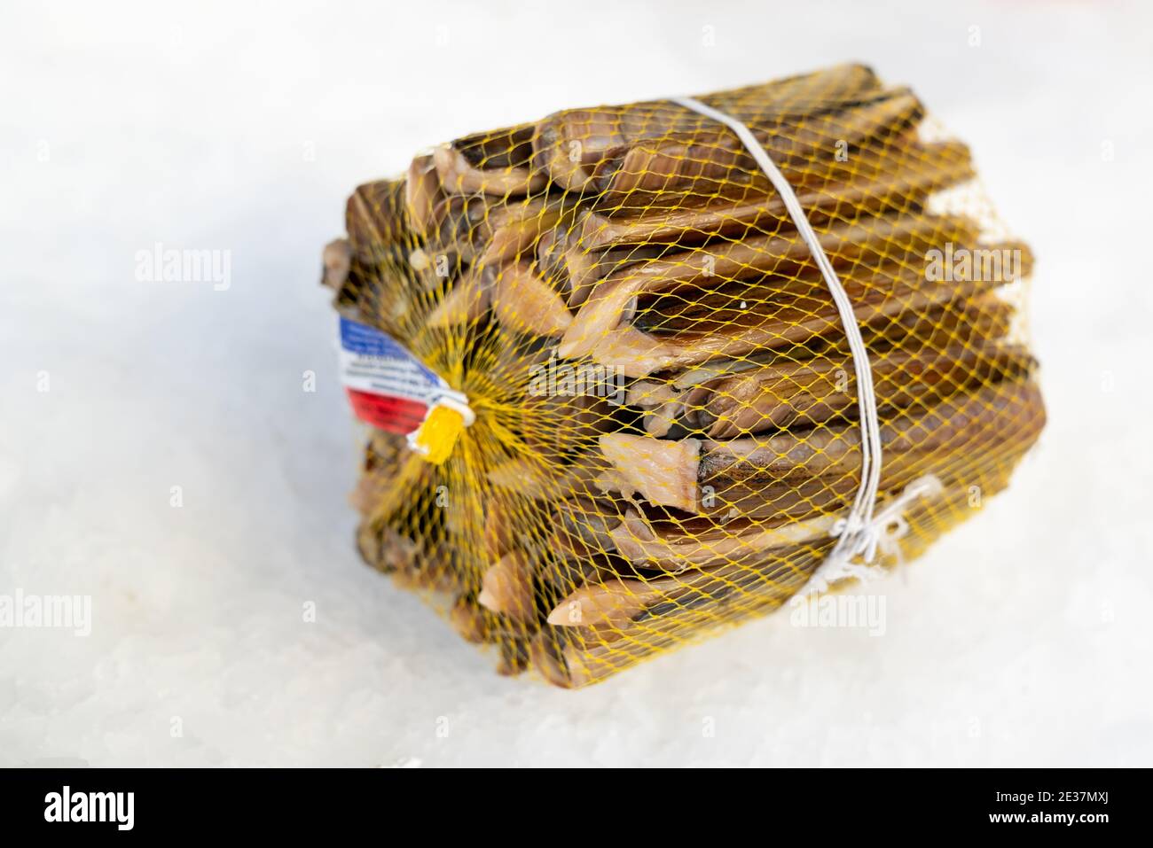 Pila di Solen marginatus, nome comune 'guscio di rasoio scanalato' (italiano: Cannolicchio), venduto sul mercato su ghiaccio, frutti di mare. Foto Stock