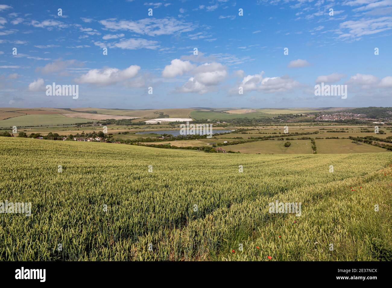 Una vista sul terreno agricolo in estate, vicino a Piddinghoe in Sussex Foto Stock