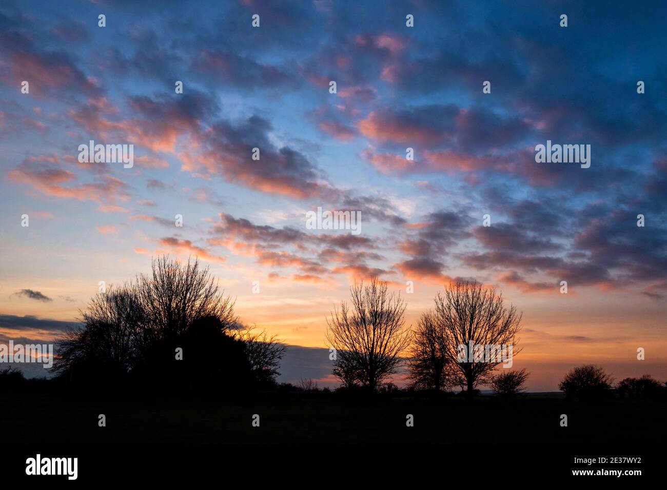 Brighton, 15 gennaio 2021: Il cielo sopra il sud si scende al tramonto a Saddlescombe, vicino a Brighton Foto Stock