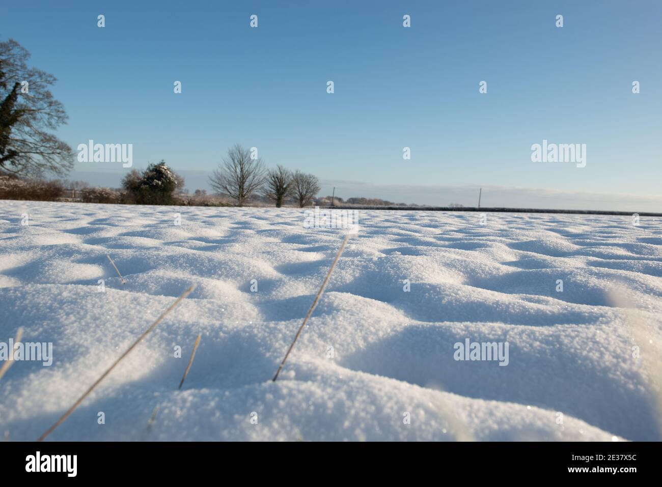 Vista ravvicinata di un campo coperto di neve con sole basso, motivi d'ombra e cielo blu Foto Stock