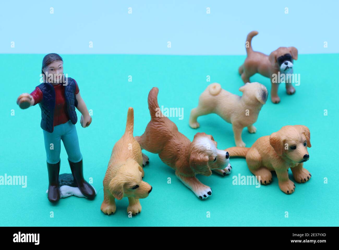 I vostri cani scappare quando è tempo di bagno? Foto Stock