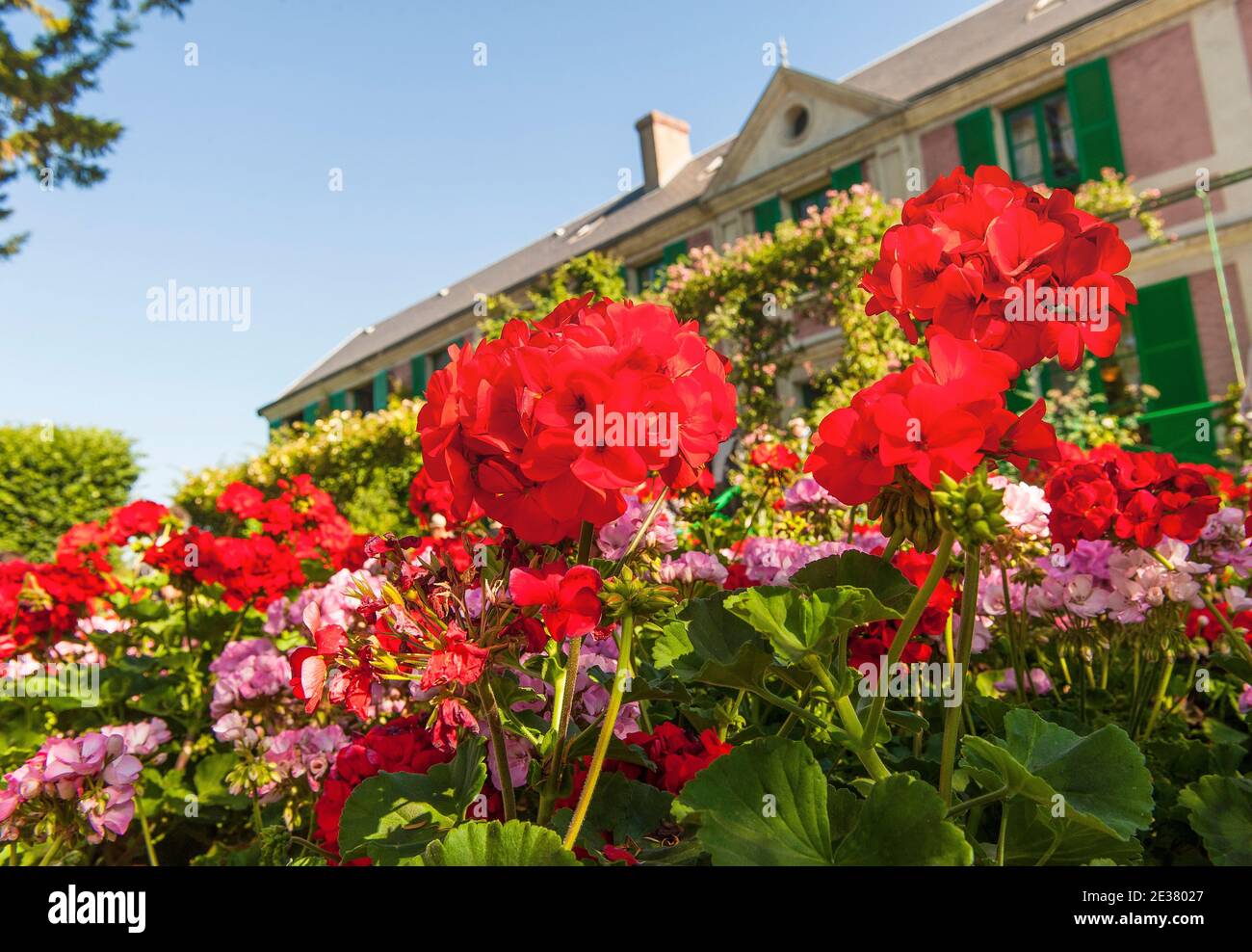 La casa del famoso pittore francese Claude Monat a Giverny è circondata da gerani e altri fiori, con la facciata coperta di edera; Francia Foto Stock