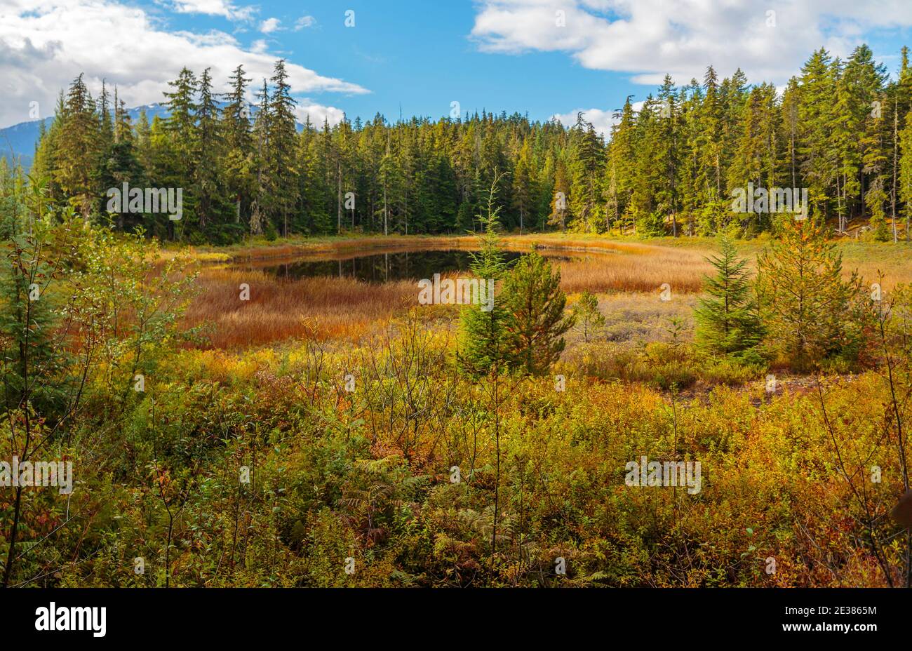 18 settembre 2016 - Whistler, BC Canada: Viste del lago perduto e prati adiacenti del Lost Lake Park. Foto Stock