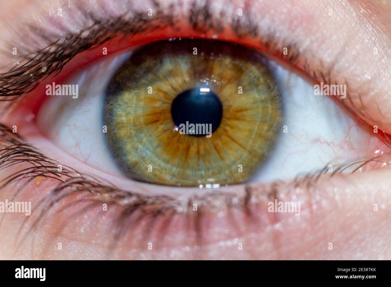 Occhio destro di una ragazza con iris di colore verde e marrone. Foto Stock