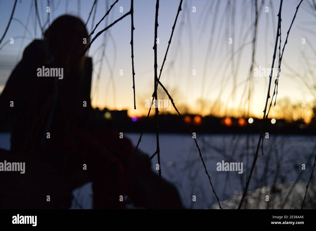 Immagine esterna messa a fuoco sui rami con una persona Burry dentro La distanza che guarda all'orizzonte Foto Stock