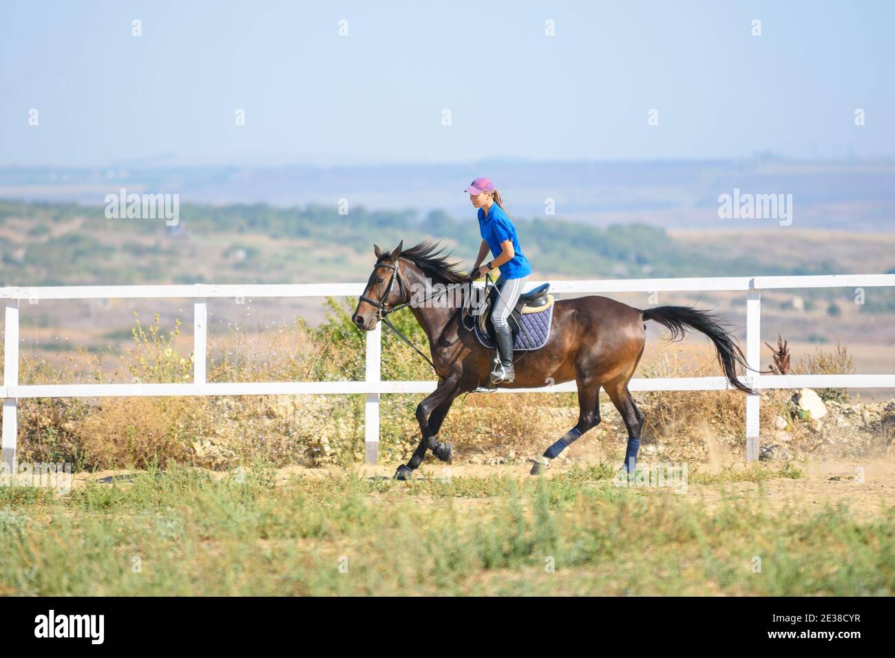 La ragazza corre un cavallo lungo la recinzione del Corral Foto Stock
