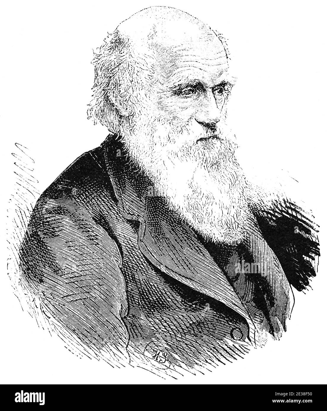 Ritratto di Charles Robert Darwin - naturalista, geologo e biologo inglese, meglio conosciuto per i suoi contributi alla scienza dell'evoluzione. Illustrazione del 19 ° secolo. Sfondo bianco. Foto Stock