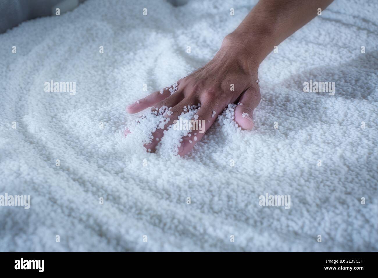 Produzione di sake giapponese: Mani con grani di riso per la produzione di sake giapponese presso la fabbrica di birra Akashi Sake, Prefettura di Hyogo, Giappone Foto Stock