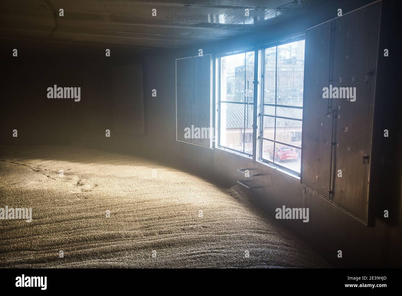 Germinazione, mashing, Simpsons Malt Limited, Berwick-upon-Tweed, Foto Stock