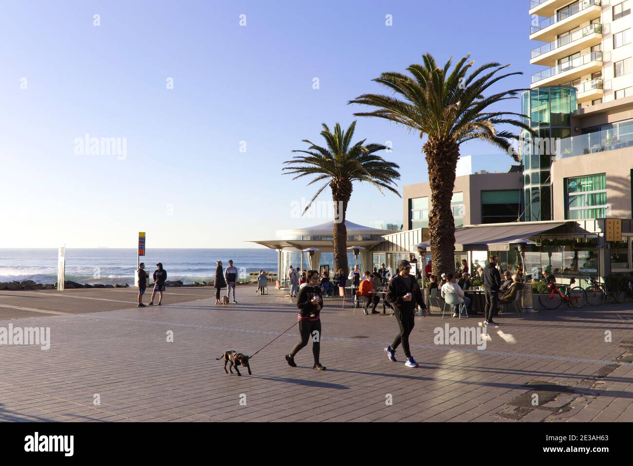 Cane a piedi a Cronulla Sutherland Shire Sydney nuovo Galles del Sud Australia Foto Stock